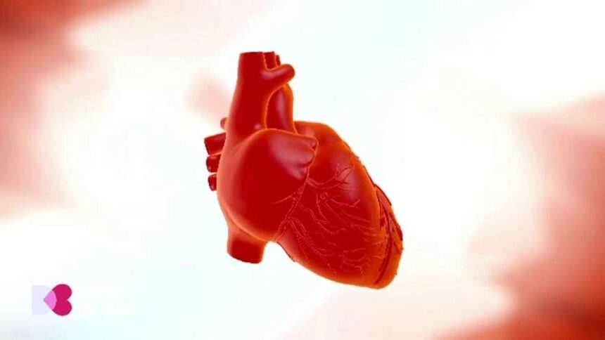 Hipertensiunea – o amenințare tăcută pentru inimă și rinichi