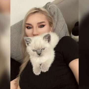 img-108 Românii și pasiunea pentru pisici: de ce suntem cei mai mari iubitori de feline din Europa