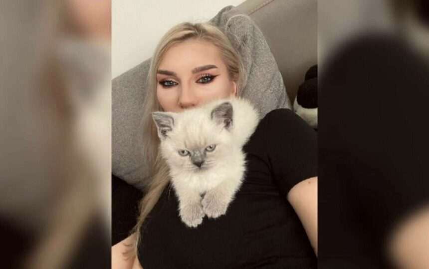 img-108 Românii și pasiunea pentru pisici: de ce suntem cei mai mari iubitori de feline din Europa