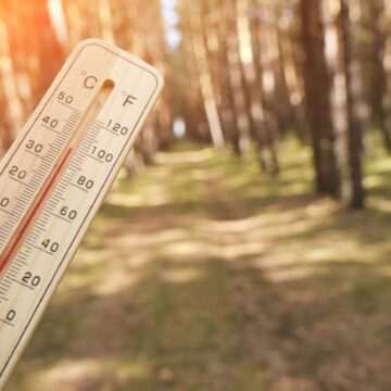 img-157 Vremea azi, 25 februarie: Temperaturi neobișnuit de calde și ploi slabe