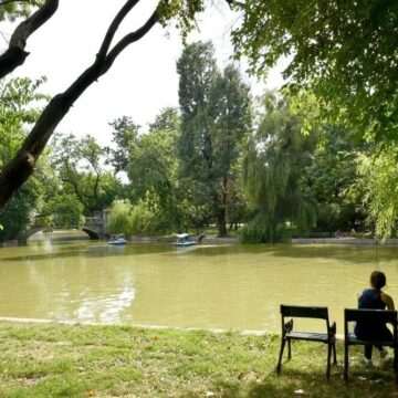 img-178 Reparații și modernizări în parcurile bucureștene Cișmigiu, Herăstrău și Tineretului