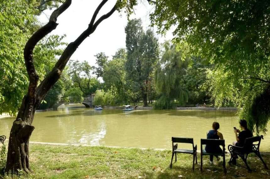 img-178 Reparații și modernizări în parcurile bucureștene Cișmigiu, Herăstrău și Tineretului