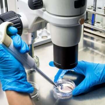 img-18 Un cancer contagios descoperit la midiile din porturi maritime