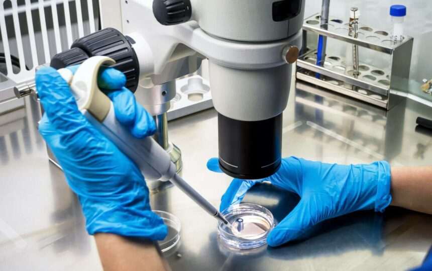 img-18 Un cancer contagios descoperit la midiile din porturi maritime