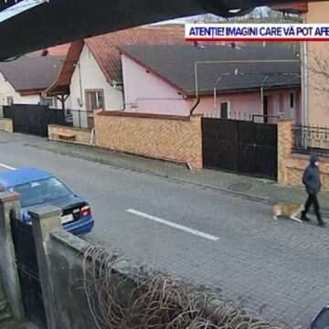 Femeie atacată de un câine în Alba Iulia