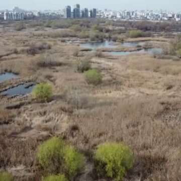 img-279 Uniunea Europeană înăsprește legile pentru protecția mediului și vrea refacerea naturii distruse