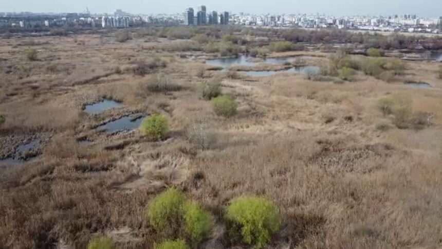 img-279 Uniunea Europeană înăsprește legile pentru protecția mediului și vrea refacerea naturii distruse