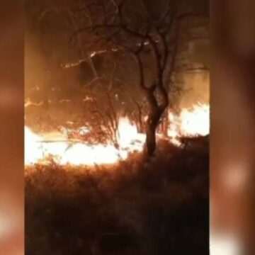 img-292 Incident tragic: Bărbatul de 78 de ani a decedat după ce a dat foc vegetației uscate din apropierea locuinței sale din Dolj