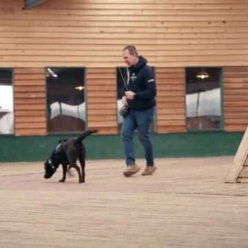 img-307 Câței antrenați pentru detectarea cancerului pulmonar în Germania