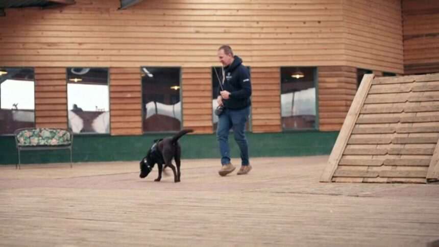 img-307 Câței antrenați pentru detectarea cancerului pulmonar în Germania