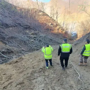 img-33 Defrișări masive pentru Autostrada Sibiu-Pitești