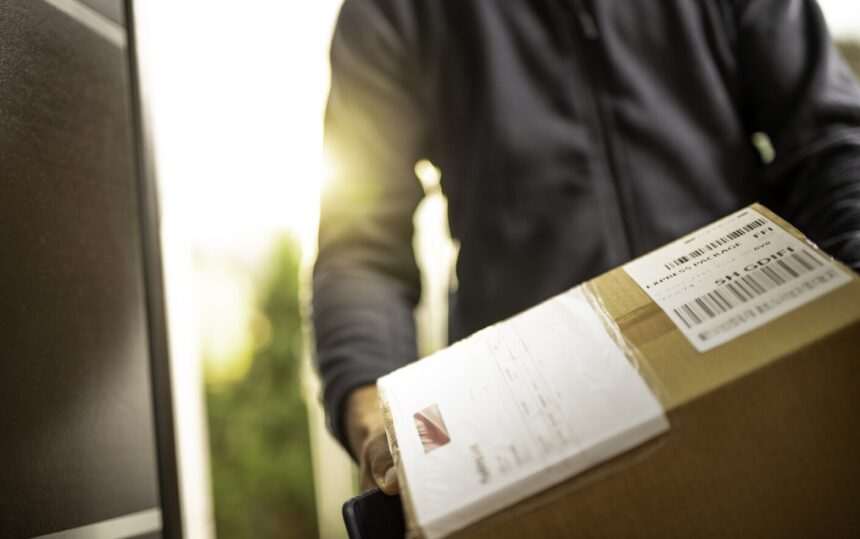 img-397 Tânăr de 21 de ani arestat pentru trafic de droguri în Botoșani