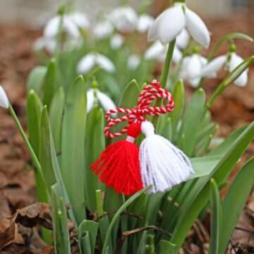 img-401 Cele mai frumoase urări de Mărțișor pentru fete, mame sau iubite