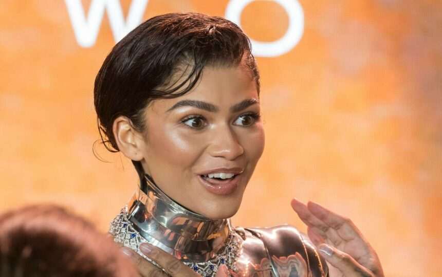 img-89 Gestul impresionant făcut de Zendaya pentru un teatru din orașul său natal