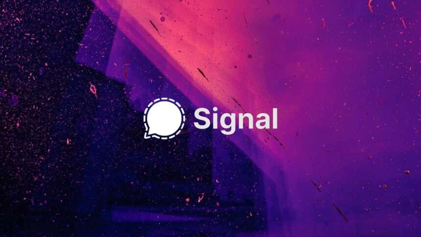 signal-header-white Signal lansează utilizarea de nume de utilizator care vă permit să ascundeți numărul de telefon