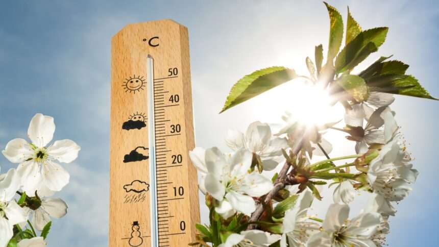 img-1058 Prognoza meteo pentru următoarele patru săptămâni