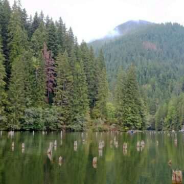 Descoperirea uluitoare din Lacul Ursu din Sovata