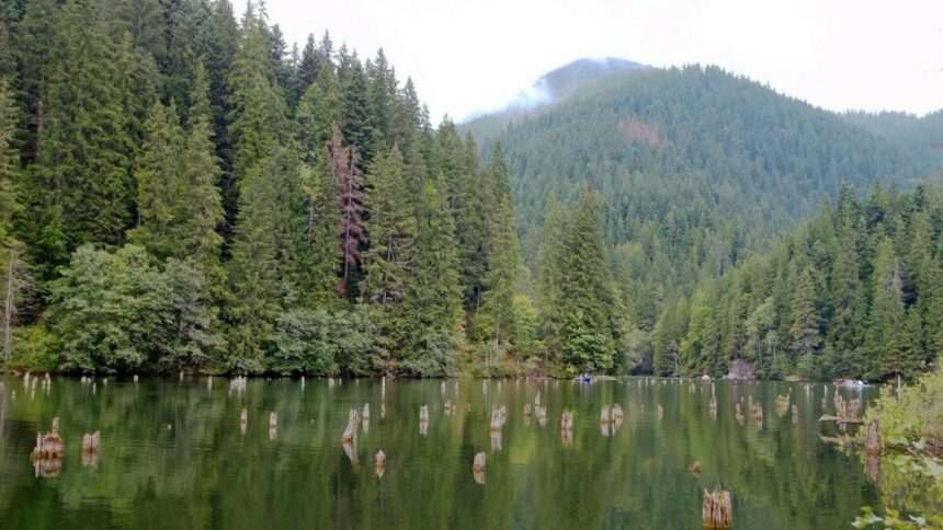 img-1077 Descoperirea uluitoare din Lacul Ursu din Sovata