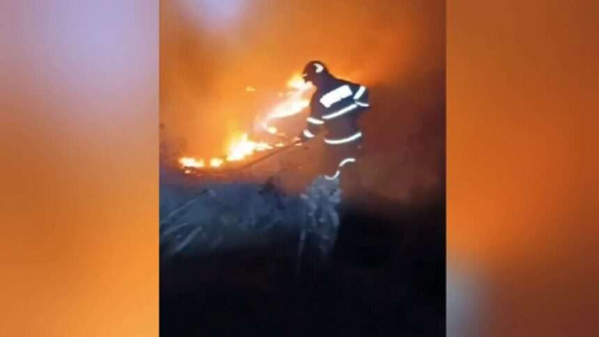 Incendiu de proporții stins de pompierii din Mureș