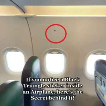 Secretul triunghiurilor negre din avioane dezvăluit de o însoțitoare de zbor