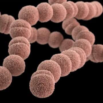 img-1257 Răspândirea infecției misterioase numită „boala care mănâncă carne” în Japonia