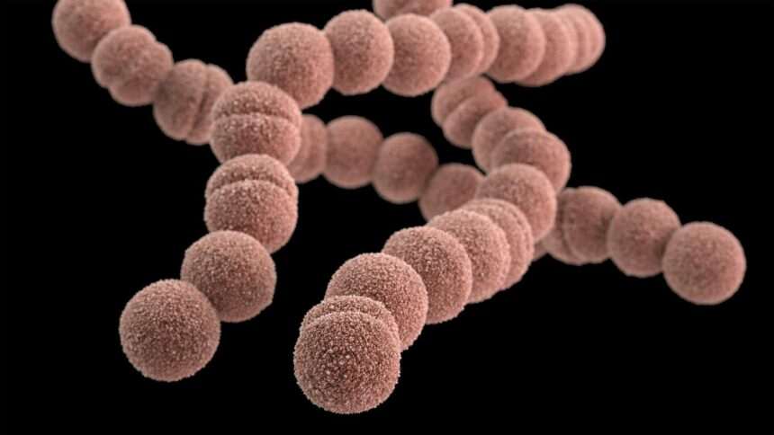 img-1257 Răspândirea infecției misterioase numită „boala care mănâncă carne” în Japonia