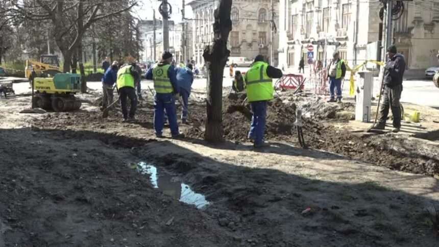 img-1264 Impactul distrugerii rădăcinilor copacilor din centrul Galațiului