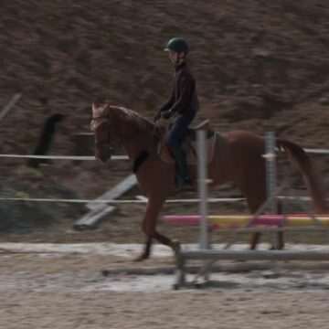 img-1269 Echitația în România: o pasiune scumpă și în creștere