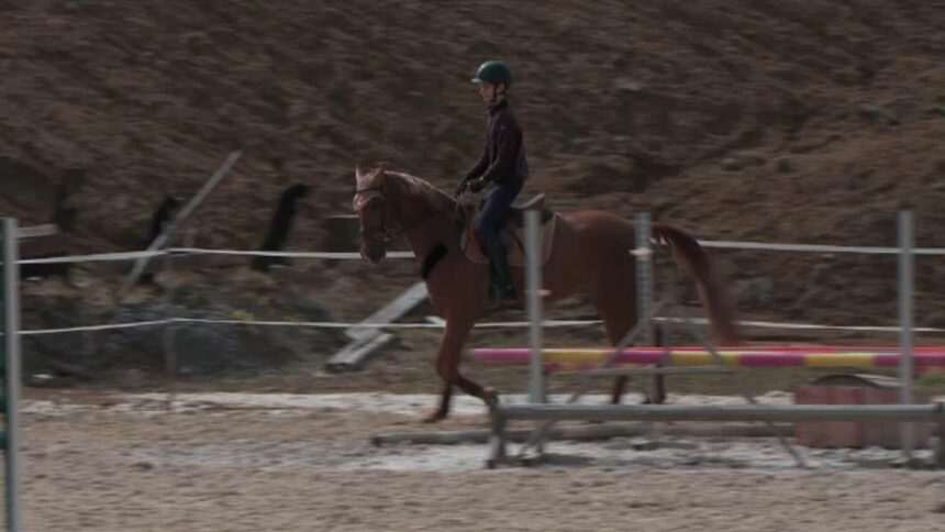 img-1269 Echitația în România: o pasiune scumpă și în creștere