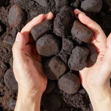 img-1304 Moduri inedite de folosire a zațului de cafea