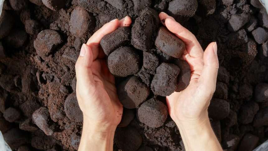 Moduri inedite de folosire a zațului de cafea