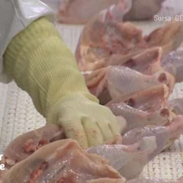 img-1349 De ce nu trebuie să ții niciodată carnea de pui lângă alte alimente în congelator