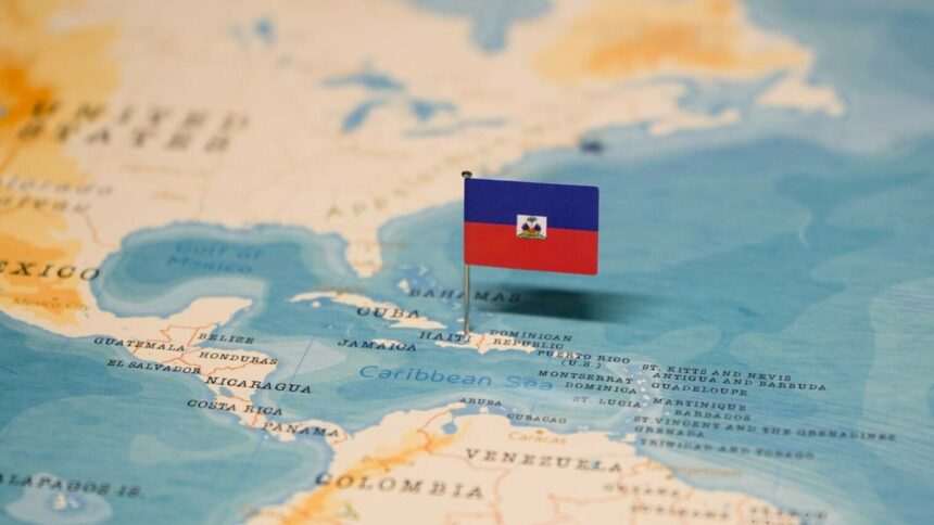 img-1367 Franţa organizează zboruri de evacuare din Haiti pentru cetăţenii săi