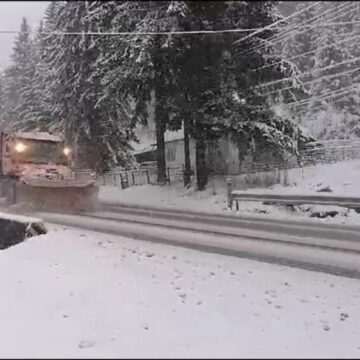 img-1385 Ninsoare puternică în România. Traficul este restricționat, copacii sunt căzuți pe șosea