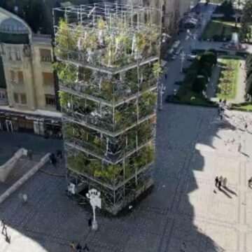 img-1387 Pepiniera etajată cu peste 1.300 de plante din Timișoara