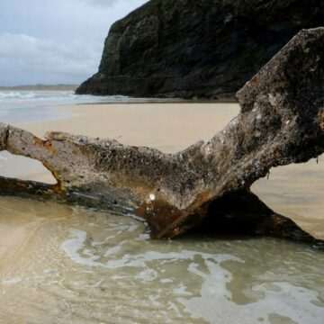 img-143 Descoperire veche de peste 130 de ani pe o plajă. Ce a scos la iveală o furtună puternică.