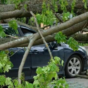 img-1453 Șofer din România primește despăgubiri mai mari decât valoarea mașinii sale