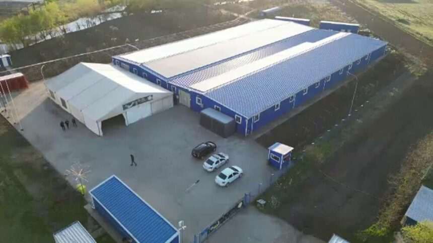 img-1456 Implicarea unui apropiat al unor politicieni din Timiș în contrabanda cu țigări și materiale pirotehnice