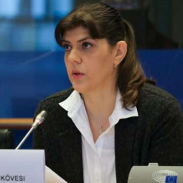 img-147 Ancheta Parchetului European privind subvențiile pentru stuful din Delta Dunării