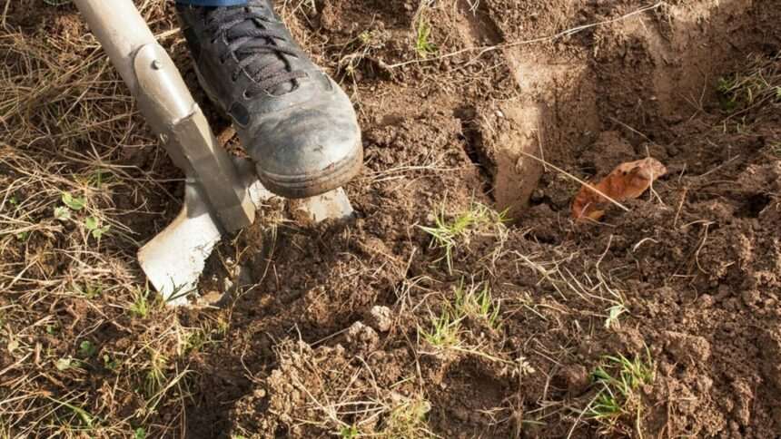 img-1545 Descoperire neașteptată în Harghita: Elemente de muniție din Al Doilea Război Mondial găsite în curtea unui bărbat