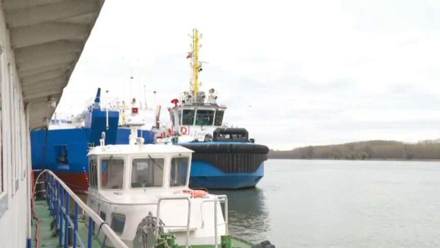 img-1564 Scandal de fraudă de 7 milioane de euro din bani UE la Galați