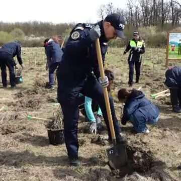 img-1566 Luna sădirii pomilor la rezervația de stejari Bavna din Maramureș