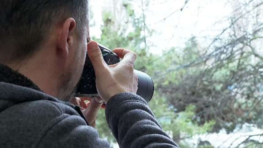 img-1594 Detectivii particulari in Romania: tarife si cerinte legale