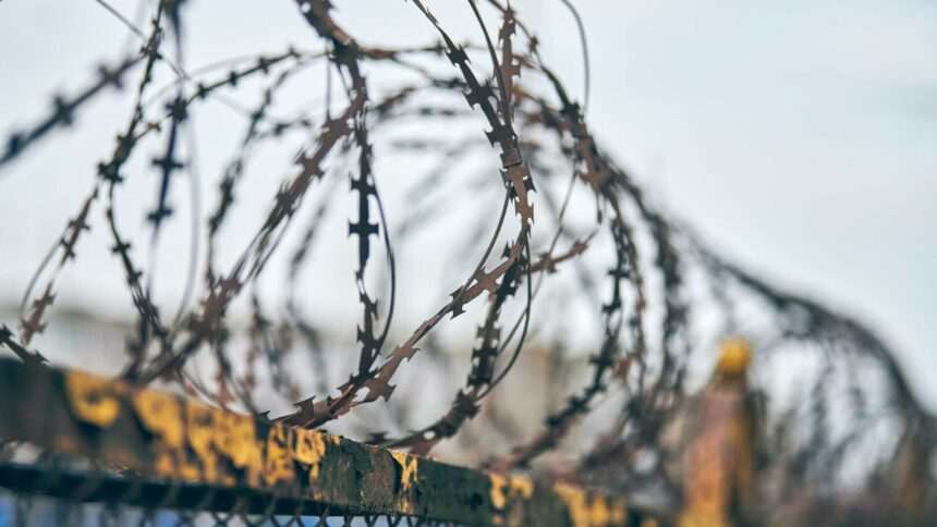 img-1631 Închisoarea canibalilor – Delfinul Negru din Rusia