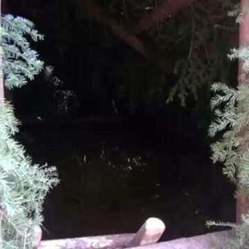 img-1697 Meșteșugul ghețăriilor ecologice din România