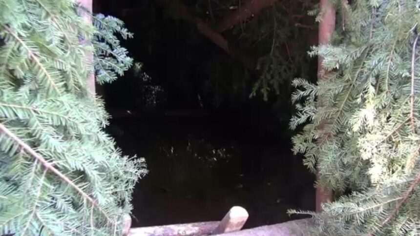 img-1697 Meșteșugul ghețăriilor ecologice din România