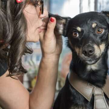 img-1715 Câinii pot înțelege cuvintele: concluziile unui studiu cu 18 patrupezi