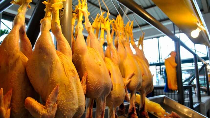 img-1744 ANPC a dat-o la întors: ”Puiul vopsit” era doar o metaforă. Noul șef al Autorității: Suntem o instituție care nu doarme