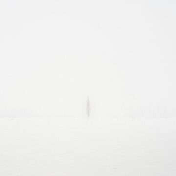 img-1754 Provocarea AI de a crea o simplă imagine albă