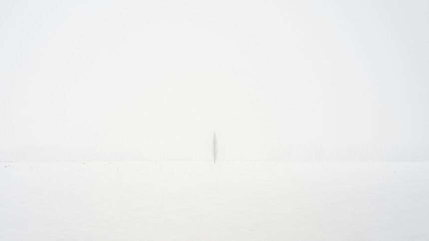 img-1754 Provocarea AI de a crea o simplă imagine albă